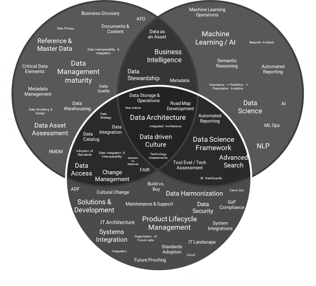 Data & IT Strategy Venn Diagram